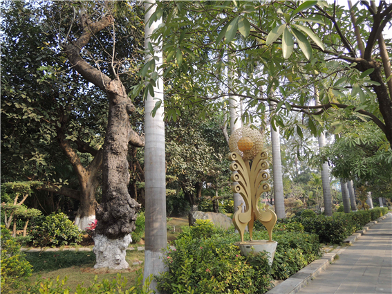 징홍의 거리는 기본적으로 야자수가 가로수로 식재되어있고 기타 여러 가지 열대 초목들도 많이 거리를 메우고 있다. 전면의 구조물은 아마도 공작을 상징하는 조각으로 여겨지고 도로의 수목과 잘 대비되어 아름답다는 느낌이 들었다.