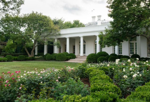 60년만에 백악관 안주인 맬라니아가 다시 리모델링한 로즈가든 전경( First lady MeIania Trump's efforts marks first time in 60 years that Rose Garden has been renovated/사진=백악관)