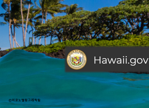 미국 하와이 주정부가 코로나19 사태로 어려움에 처한 식당과 근로자를 위해 실직자에게 1인당 500달러(약 58만원)의 외식비를 지원하는 정책 프로그램을 도입했다. 자료=하와이 주정부/이코노텔링그래픽팀.