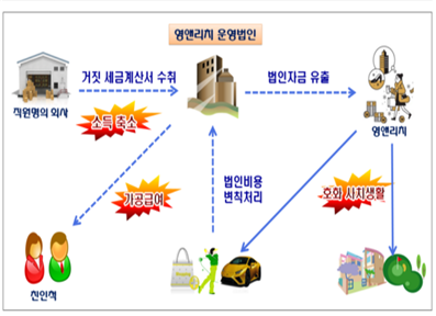 국세청에 따르면 세무조사를 받는 20∼30대 영앤리치 16명의 평균 재산가액은 186억원이다.자료=국세청.