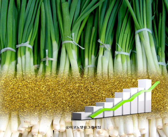 지난해 밭을 갈아엎을 정도로 값이 폭락했던 대파 가격이 올해는 천정부지로 치솟고 있다/이코노텔링그래픽팀.