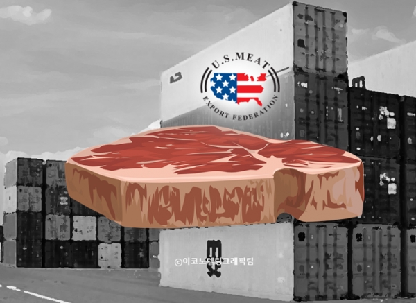 한국이 지난해 미국산 쇠고기의 최대 수입국이 된 것으로 분석된다/이코노텔링그래픽팀.
