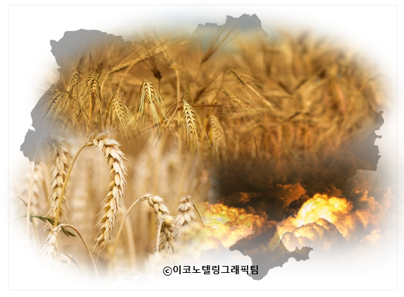 '유럽의 빵 바구니'로 불리는 곡창지대인 우크라이나가 러시아의 침공으로 전쟁터로 변함에 따라 글로벌 식량 공급망이 마비되면서 지구촌 곳곳에서 식량공급 부족 문제가 심각해졌다/이코노텔링그래픽팀.