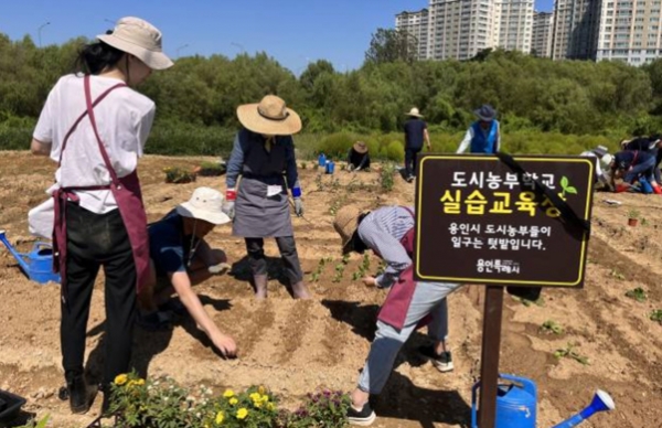 지난해 도시농부학교 텃밭교육에 참가한 시민들 모습. 사진=용인시.