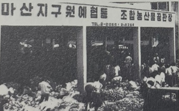 1970년대 마산원예농협 공판장.