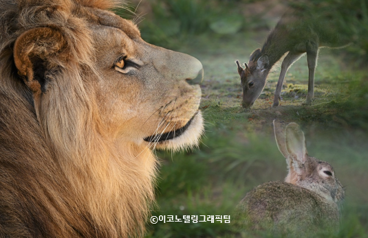선택을 할 때 반드시 고려해야 하는 것이 기회비용이다/이코노텔링그래픽팀.<br>